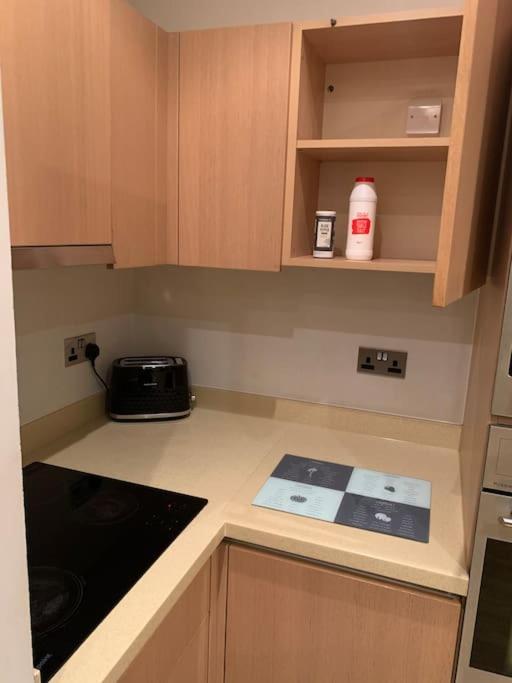 Stunning 2 Bed Flat! Centrally Located In London, Uk! Εξωτερικό φωτογραφία